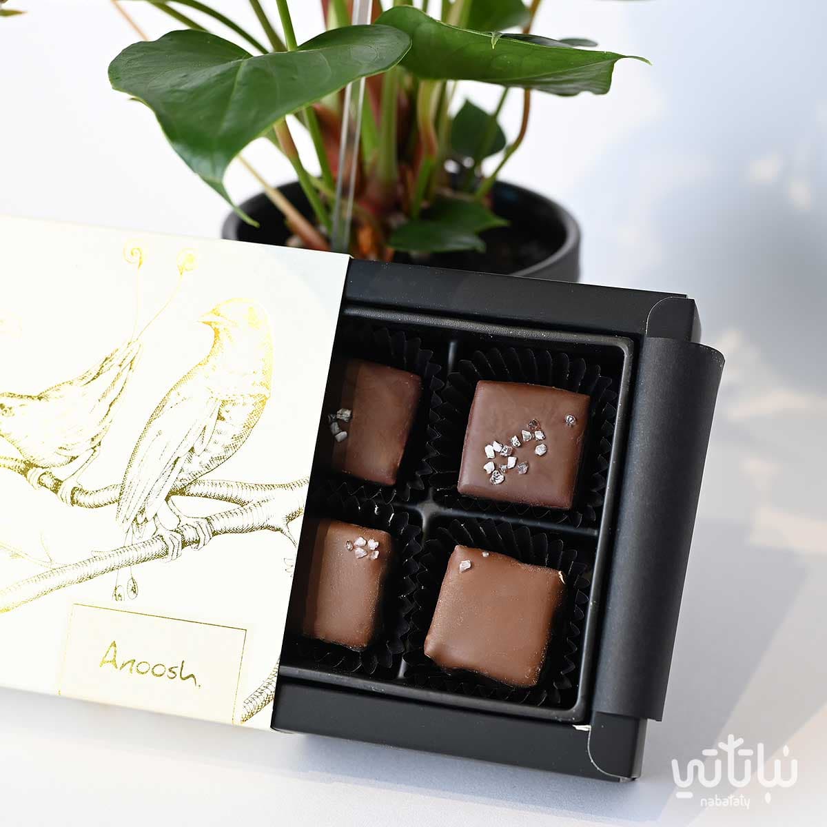 Congratulations on Graduation gift Anthurium plant and Anoosh chocolates 3
