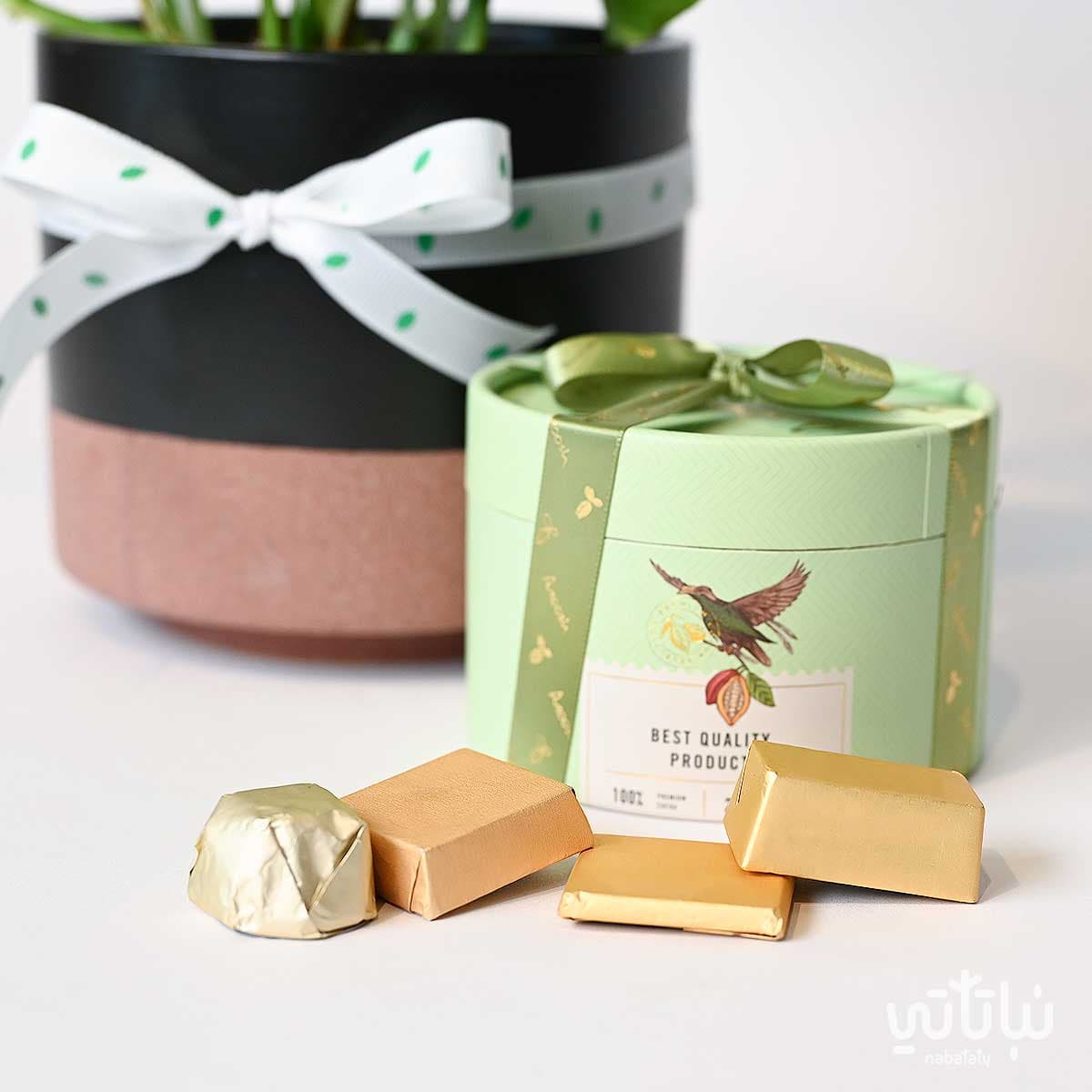 Congratulations on Graduation gift Pothos plant and Anoosh chocolates 4