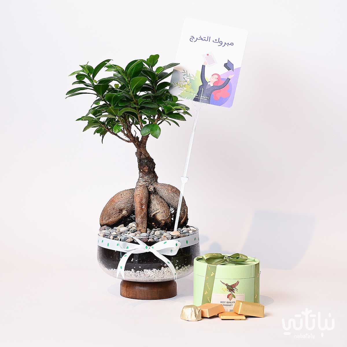 Congratulations on Graduation gift Bonsai plant and Anoosh chocolates 2