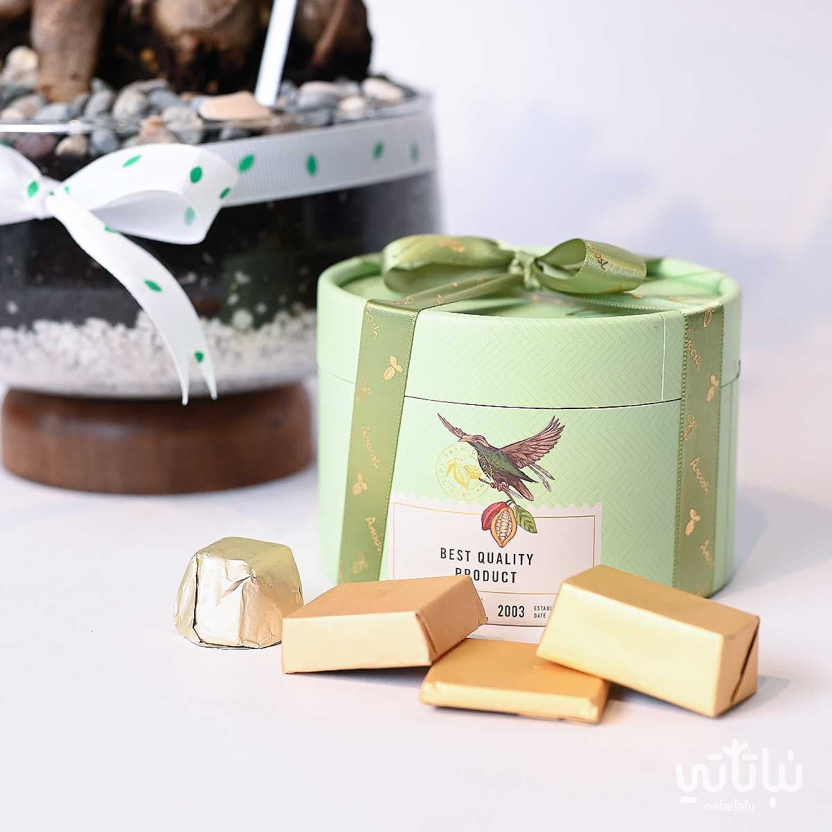 Congratulations on Graduation gift Bonsai plant and Anoosh chocolates 4