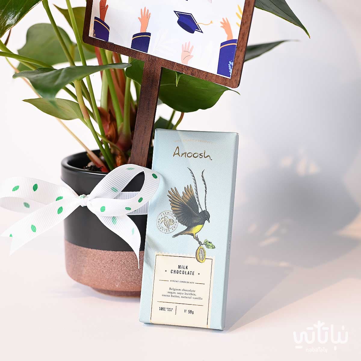 Congratulations on Graduation gift Anthurium plant and Anoosh chocolates 3