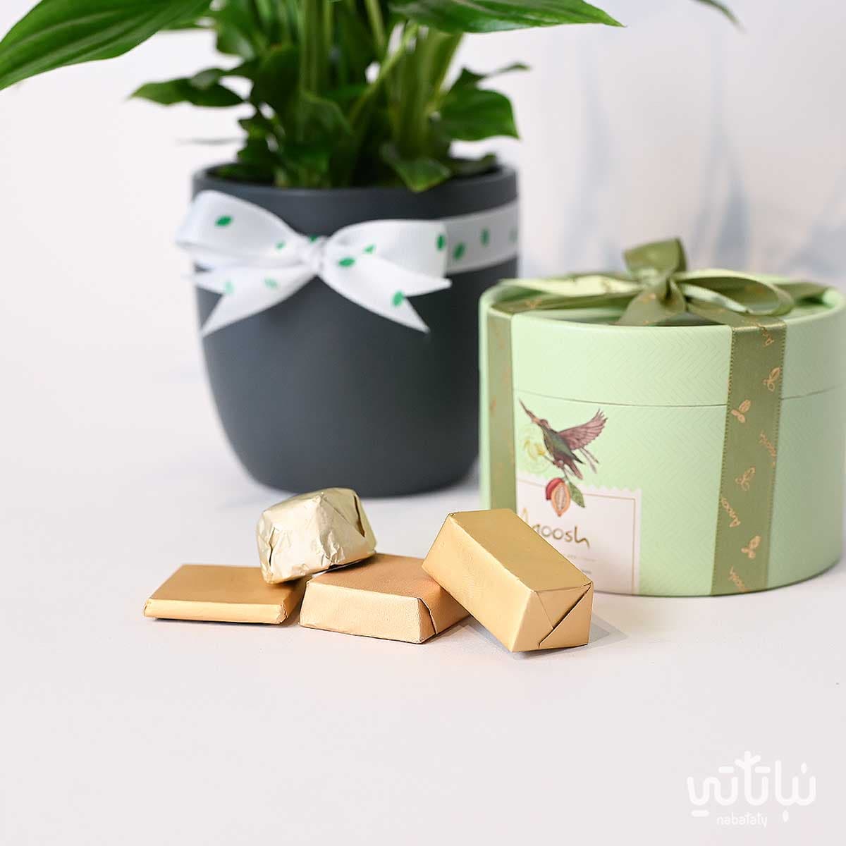 Congratulations on Graduation gift Peace Lily plant and Anoosh chocolates 4