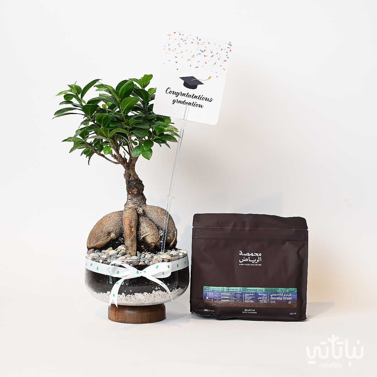 Congratulations on Graduation gift Bonsai plant and Riyadh roasted coffee 1