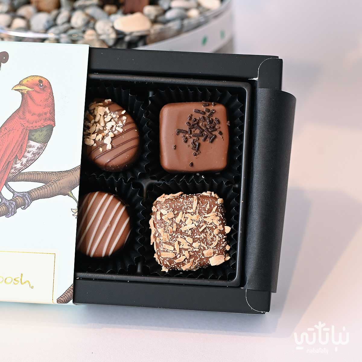 Congratulations on Graduation gift Bonsai plant and Anoosh chocolates 4