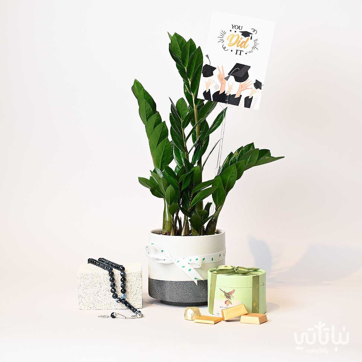Congratulations on Graduation gift Zamia plant and a prayer beads 2