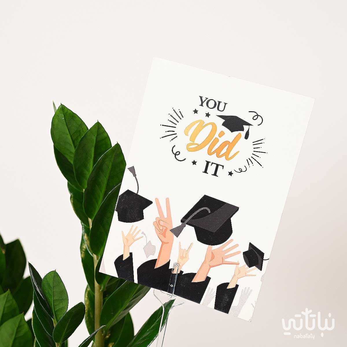 Congratulations on Graduation gift Zamia plant and a prayer beads 3