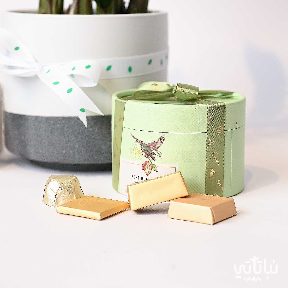 Congratulations on Graduation gift Zamia plant and a prayer beads 4