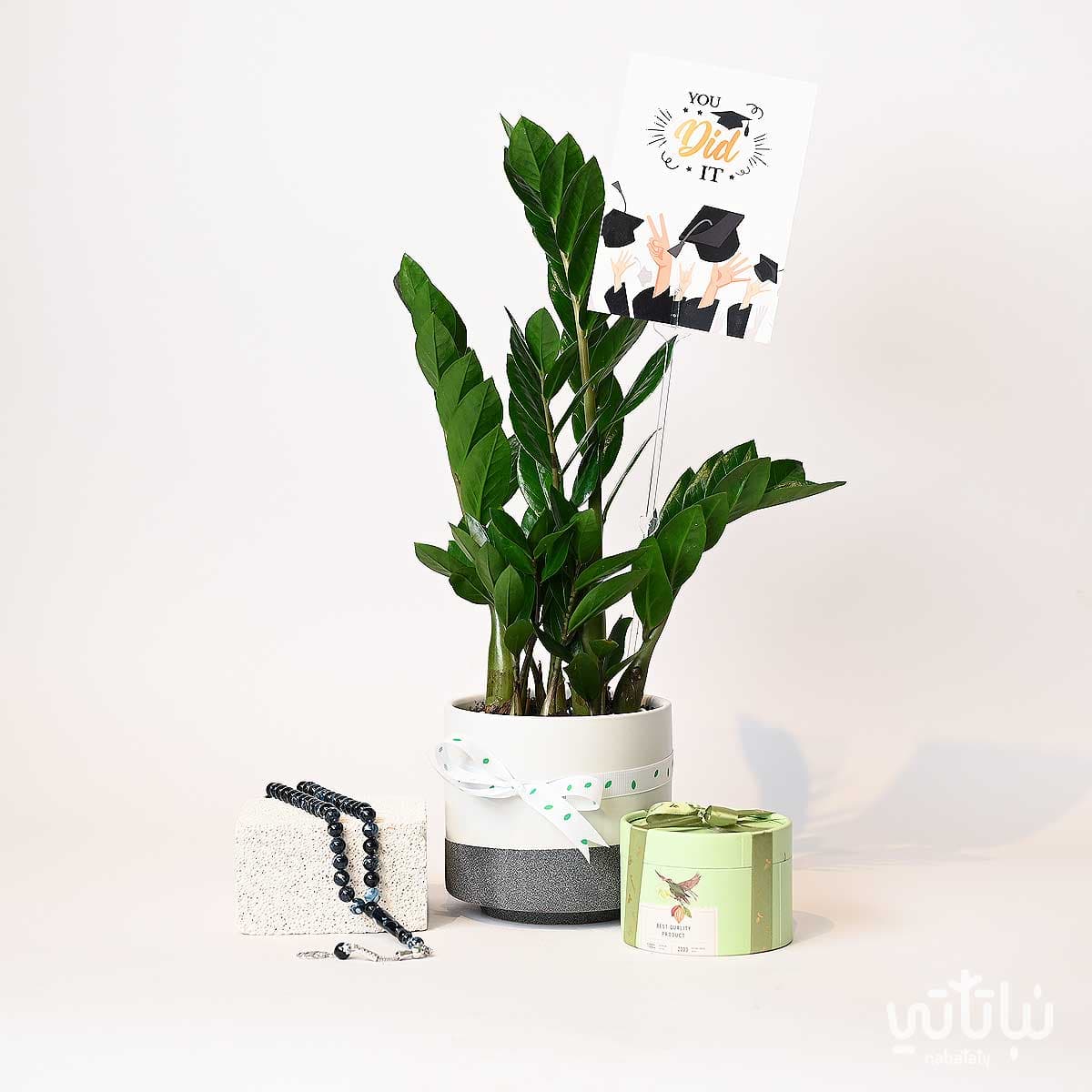 Congratulations on Graduation gift Zamia plant and a prayer beads