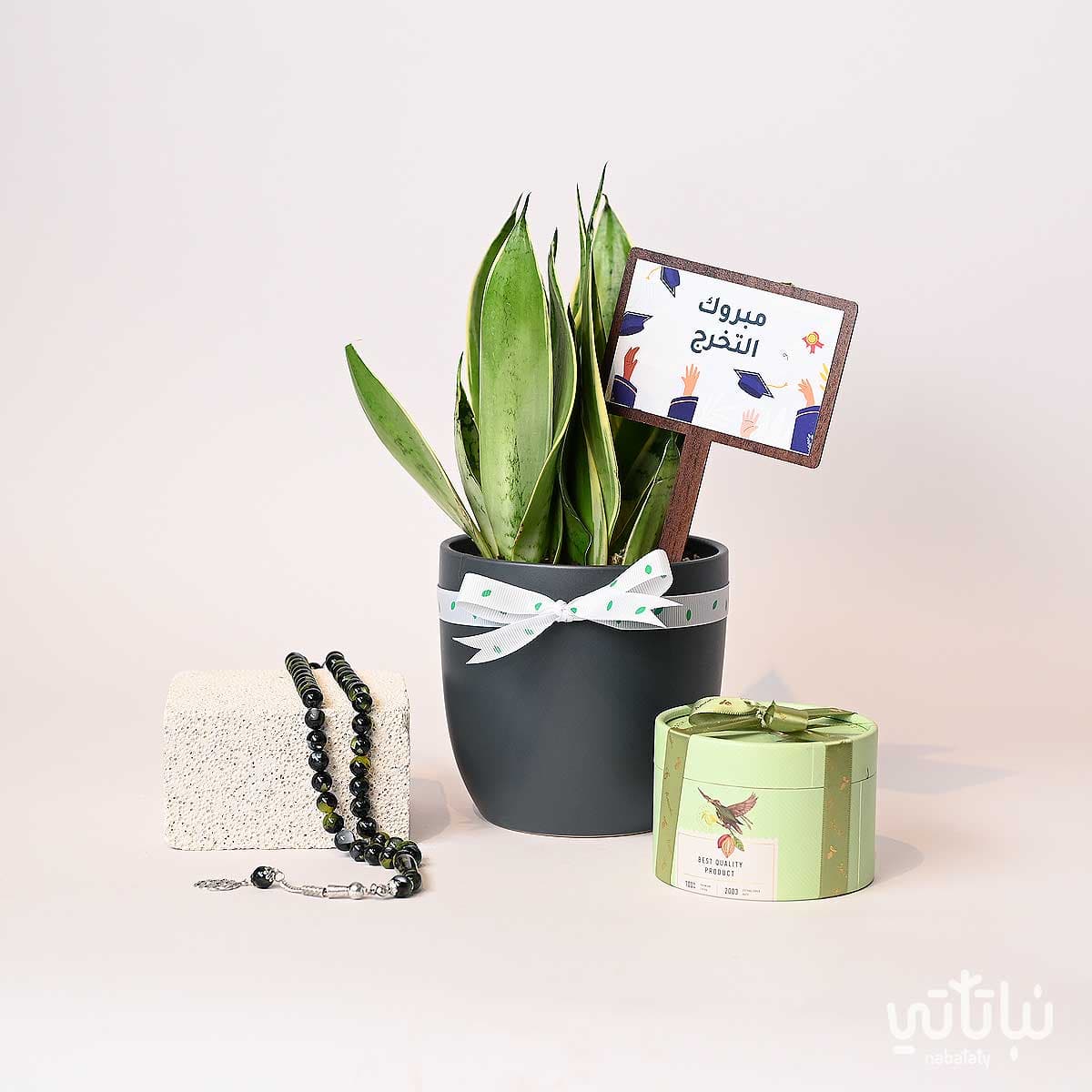 Congratulations on Graduation gift Leopard Skin plant and a prayer beads