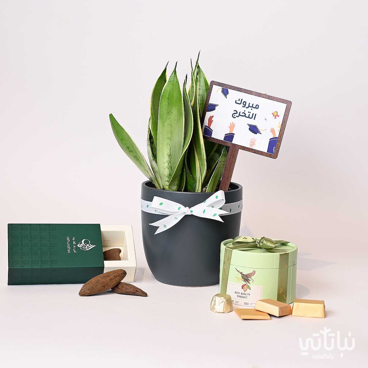 Congratulations on Graduation gift Leopard skin plant and Morocan oud 3