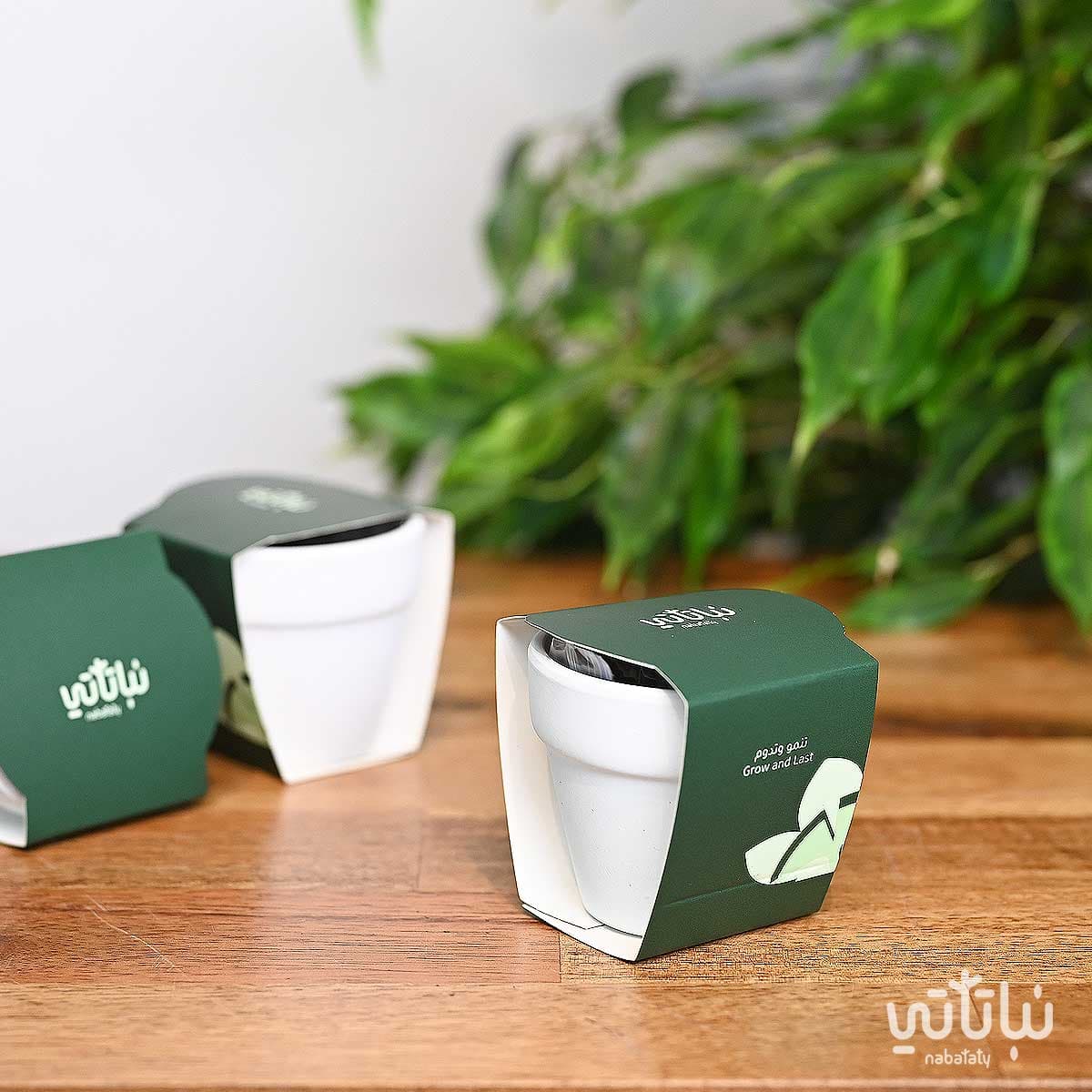 هدية من بذرة الى حياة