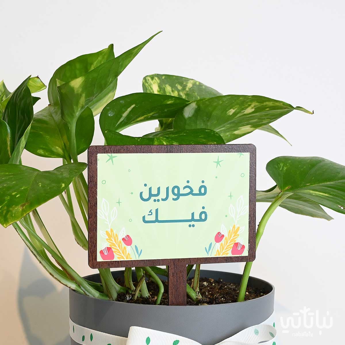 هدية فخورين فيك نبتة البوتس وتشوكلت مغلف 2