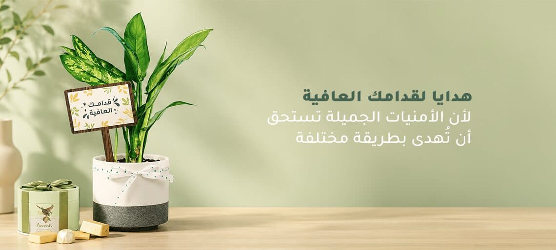 قدامك العافية