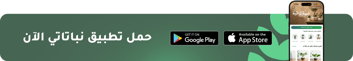 Nabataty Banner