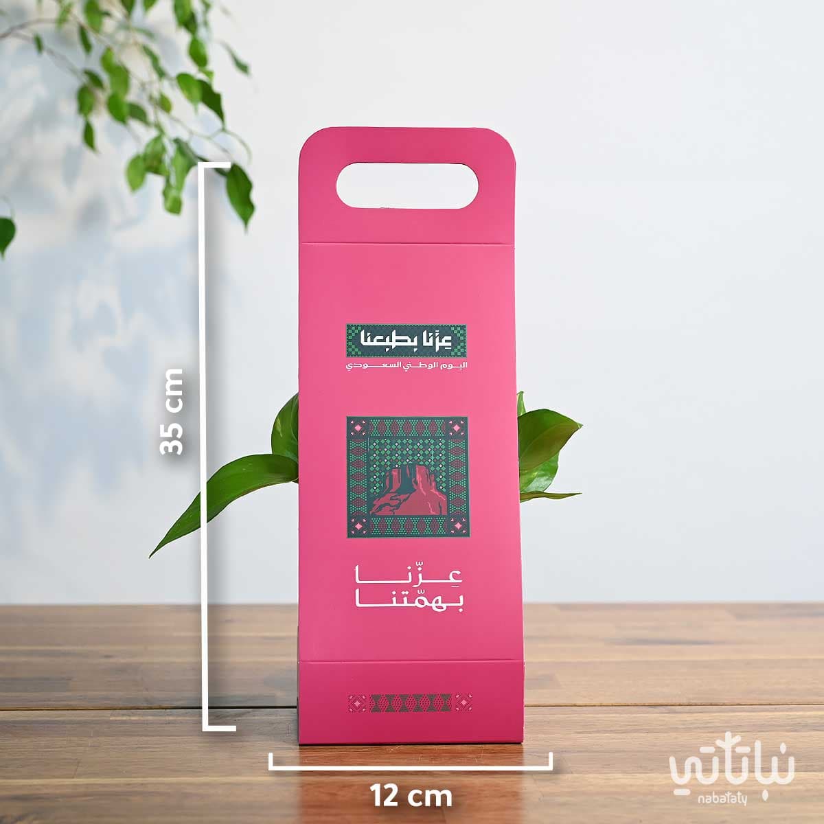 Pothos Plant Holder Saudi National Day Theme 2