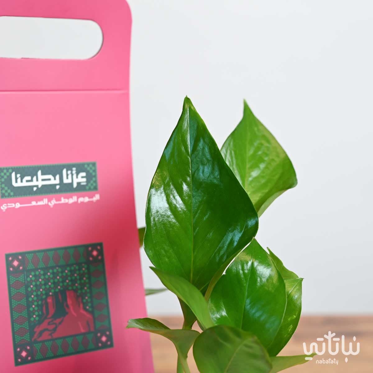 Pothos Plant Holder Saudi National Day Theme 3