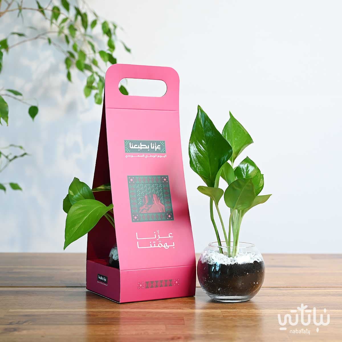 Pothos Plant Holder Saudi National Day Theme 1
