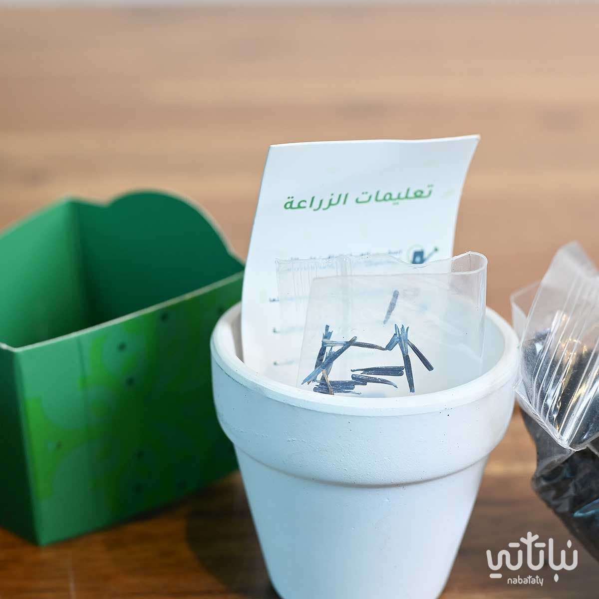 From Seed to Life Saudi National Day Theme 4