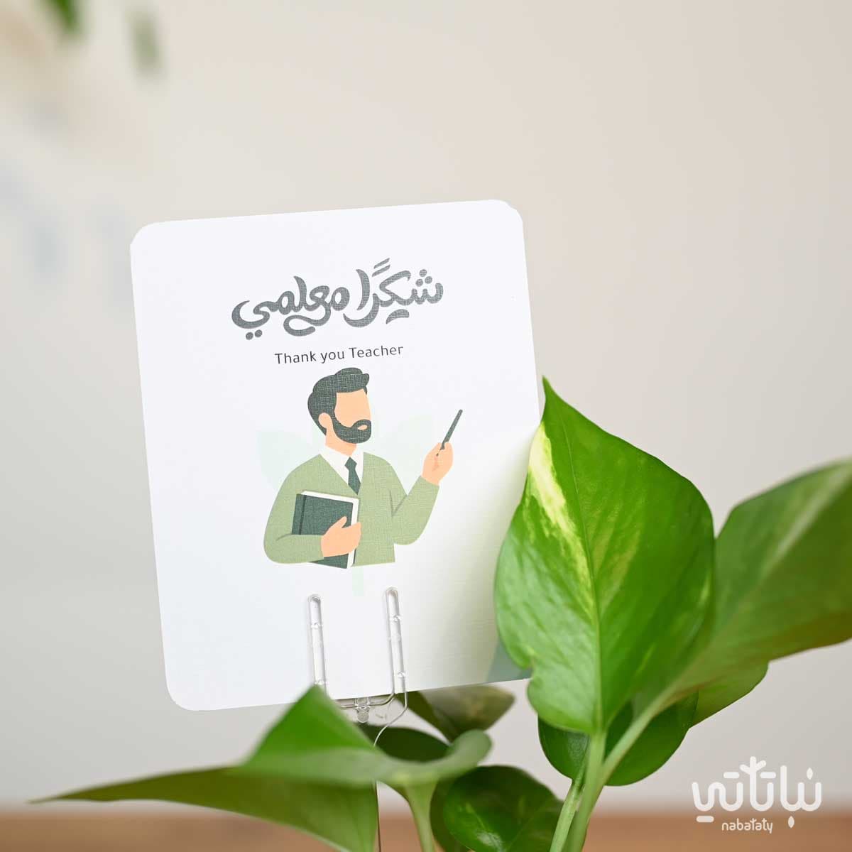 هدية نبتة البوتس يوم المعلم 3