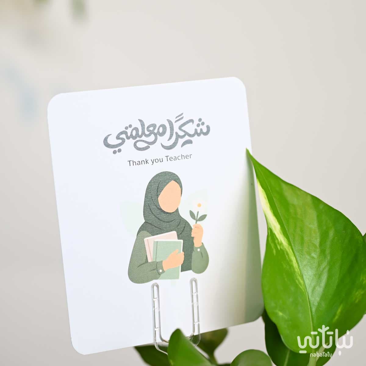 هدية نبتة البوتس يوم المعلم 3