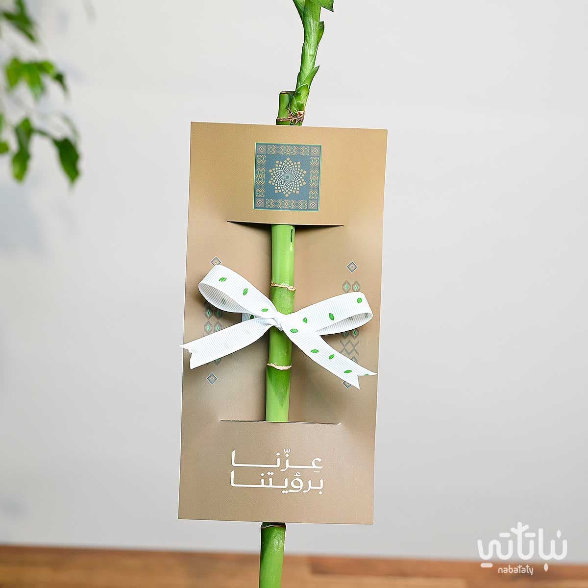 توزيعات البامبو ثيم اليوم الوطني 2
