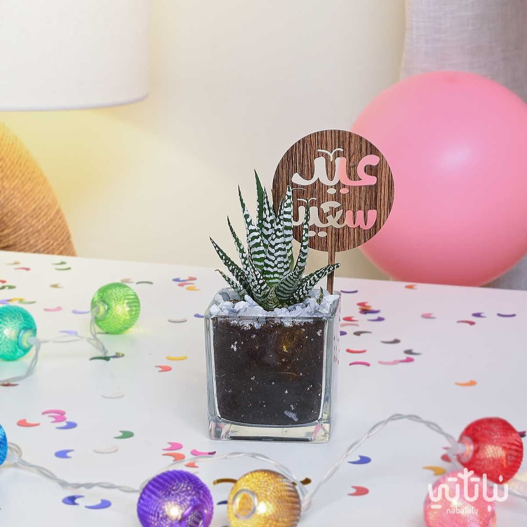 مجموعة نباتات مكتبية