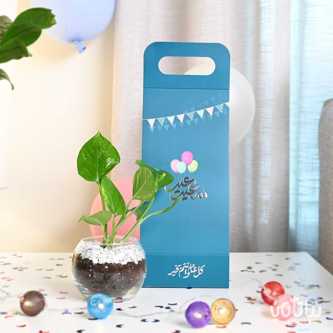 ترتيب نباتات فاخر