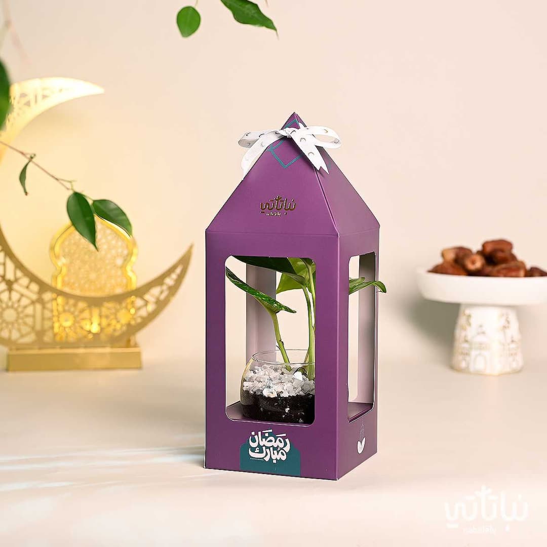 هدية فانوس رمضان