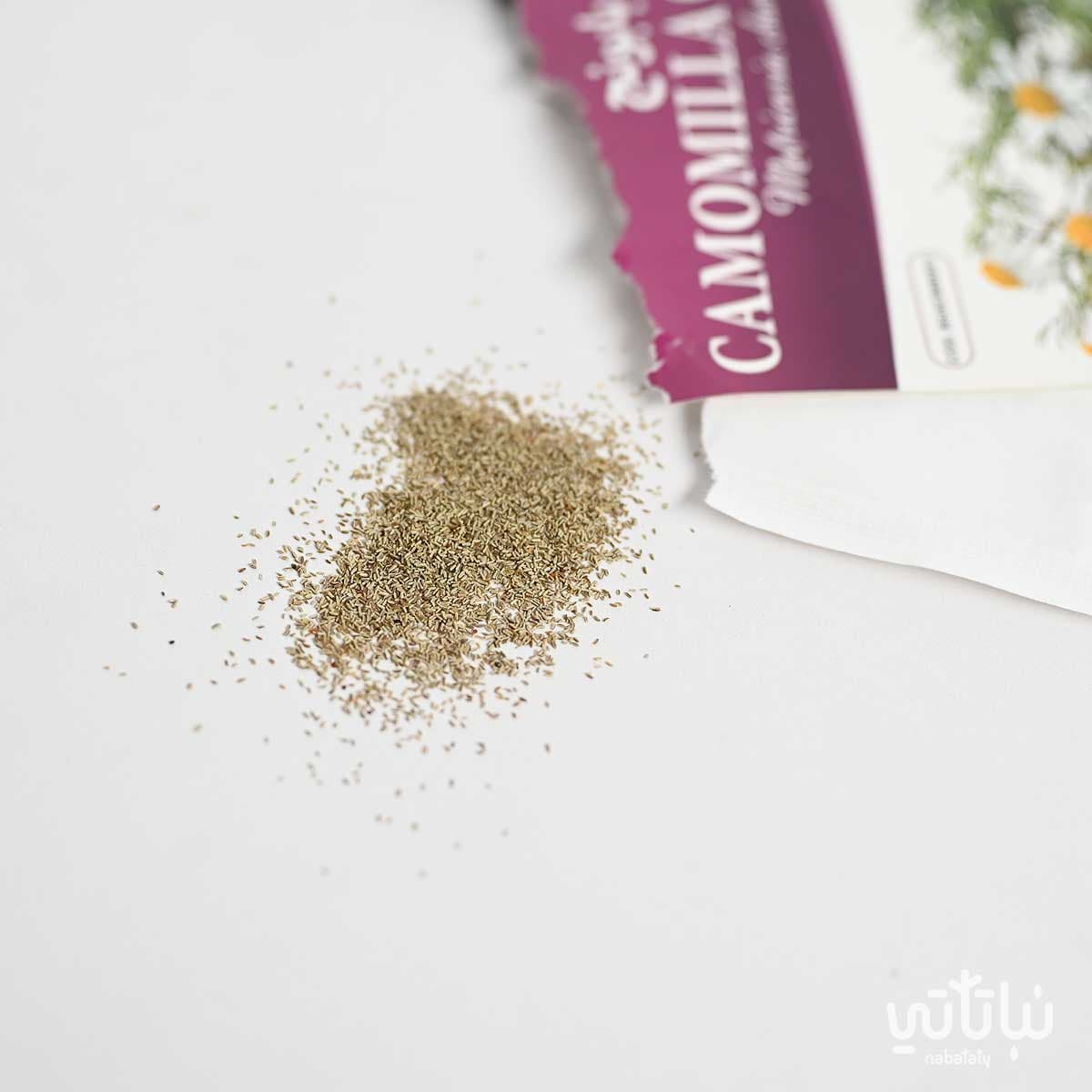 Chamomile Seeds 2