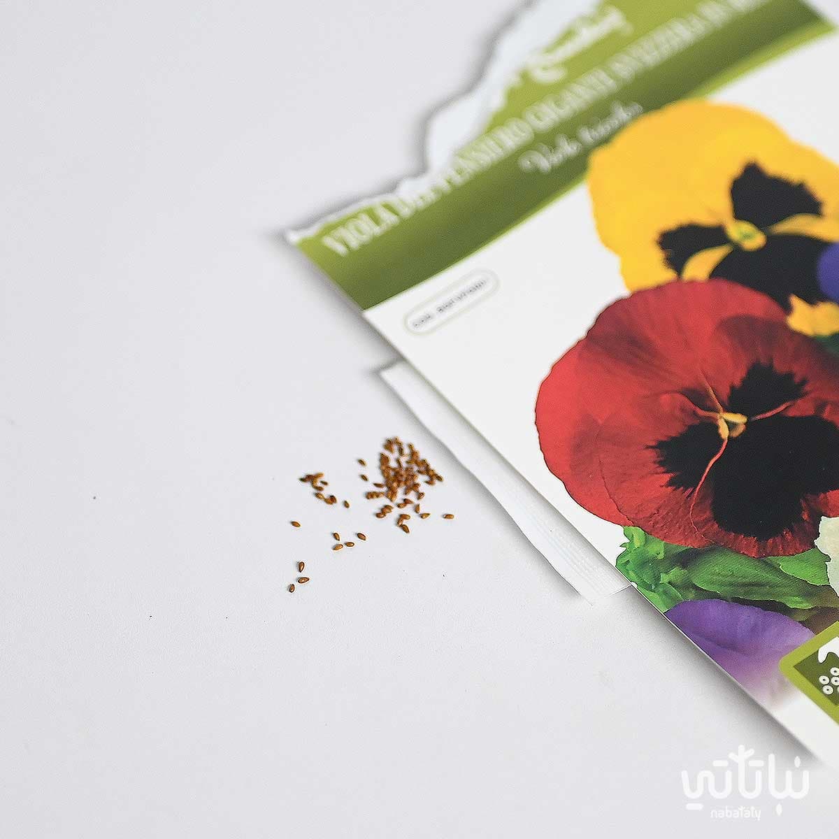 Viola del pensiero gigante svizzera Seeds 2