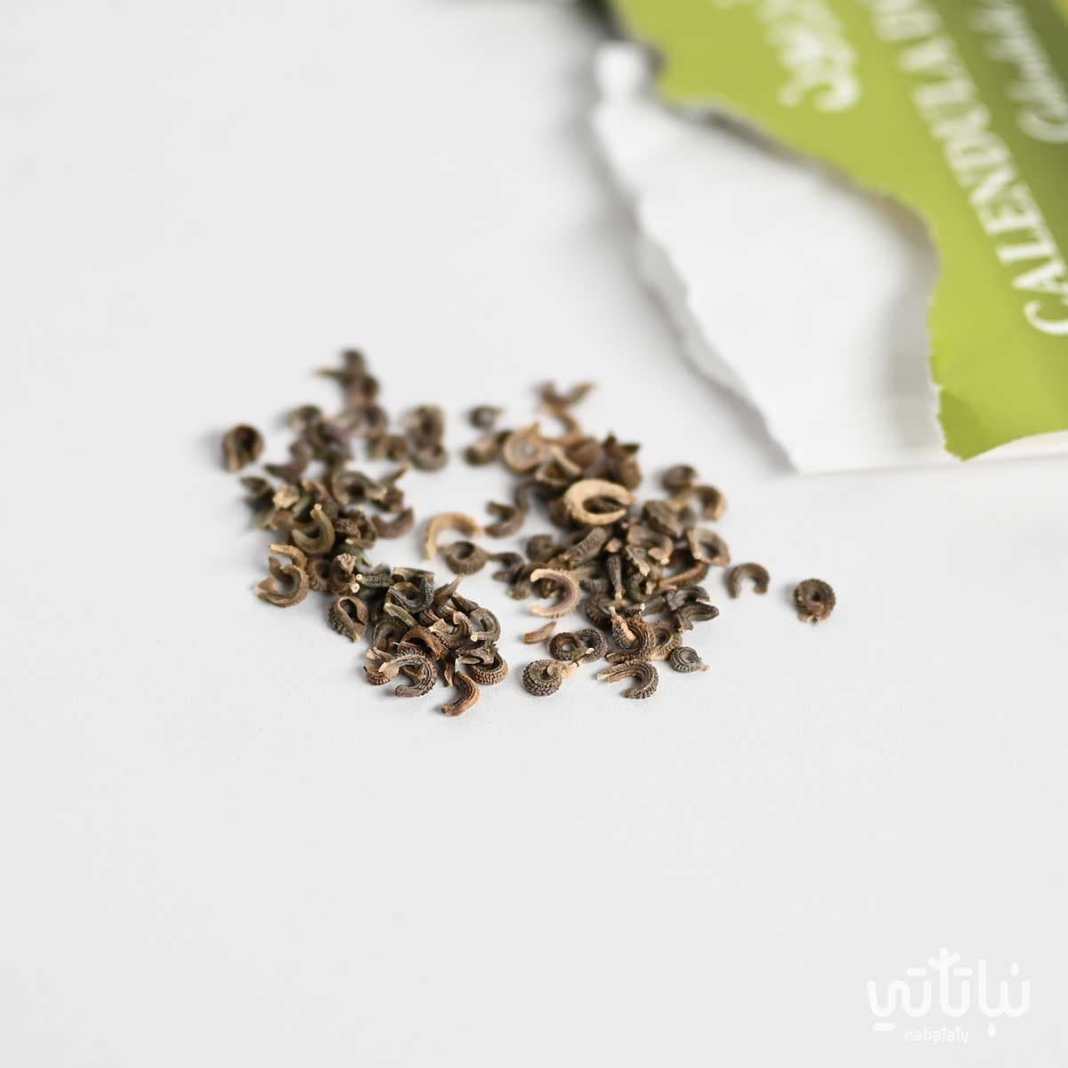 Calendula Doppia Seeds 2