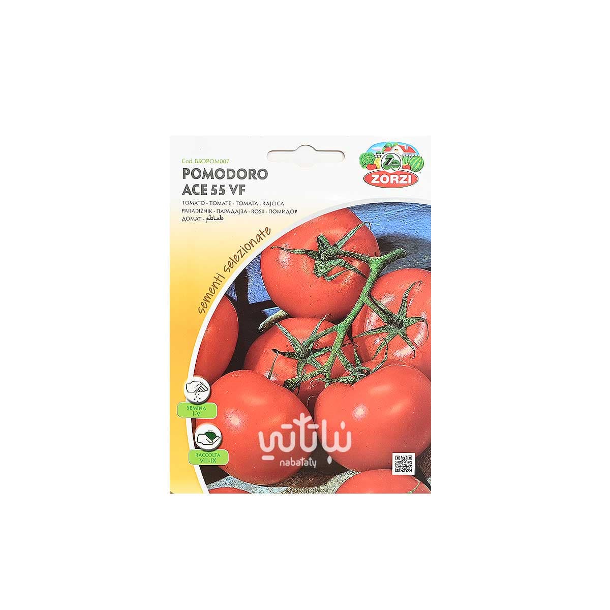 Tomato Seeds