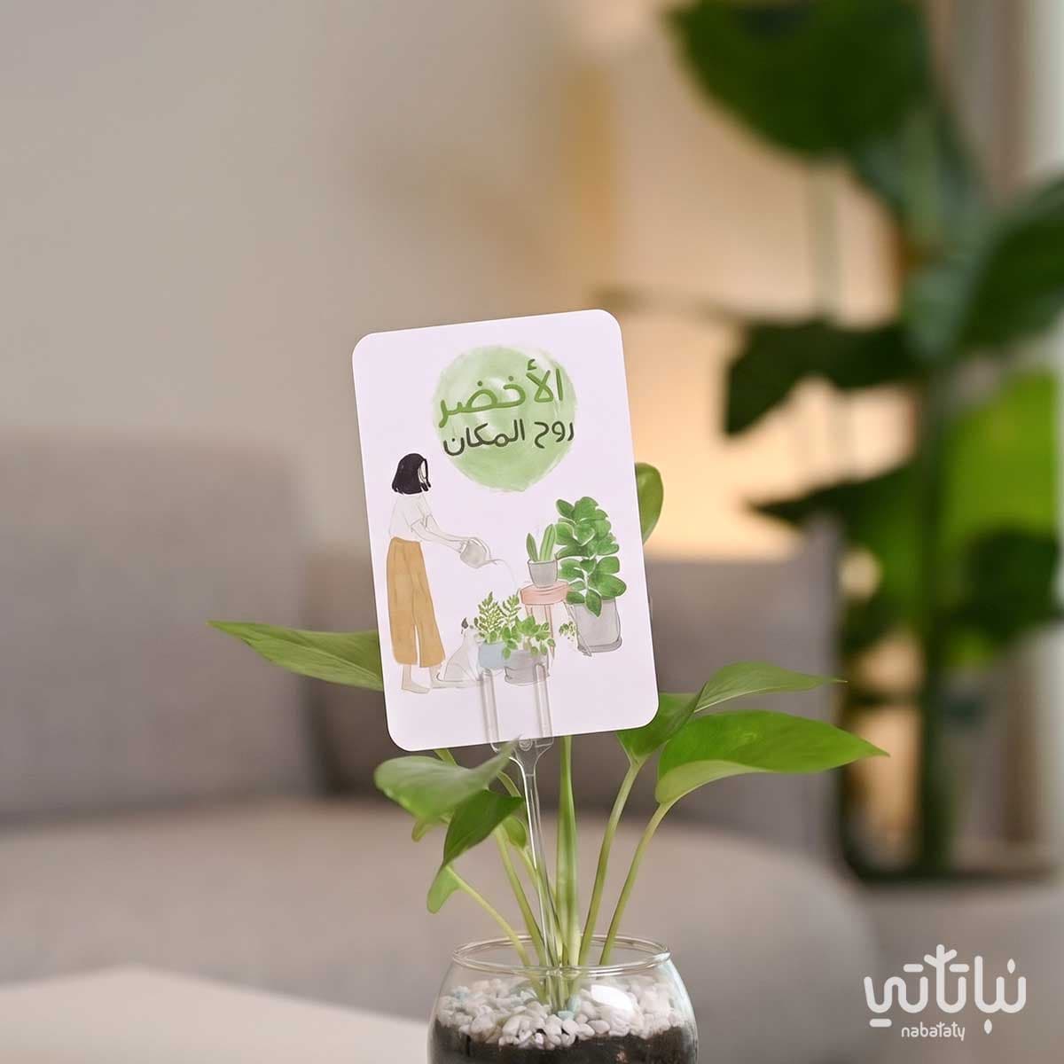 Gift Card Greenery the Soul of the Place 3
