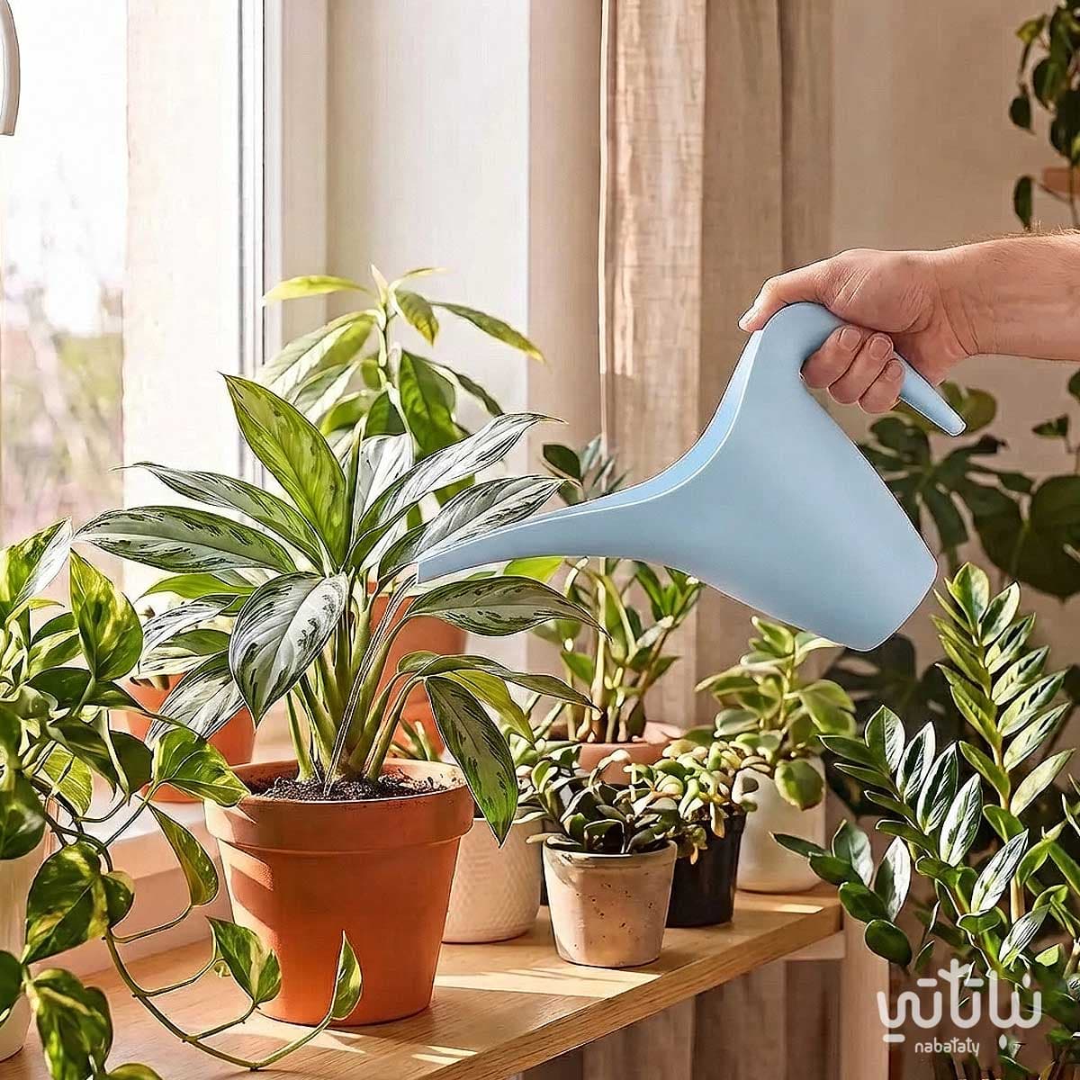 1.8L light Blue Watering Can 3