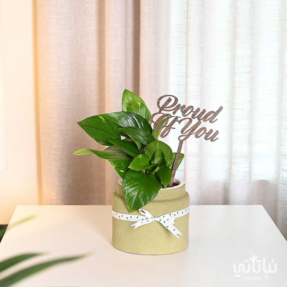 proud of you gift pothos plant 1