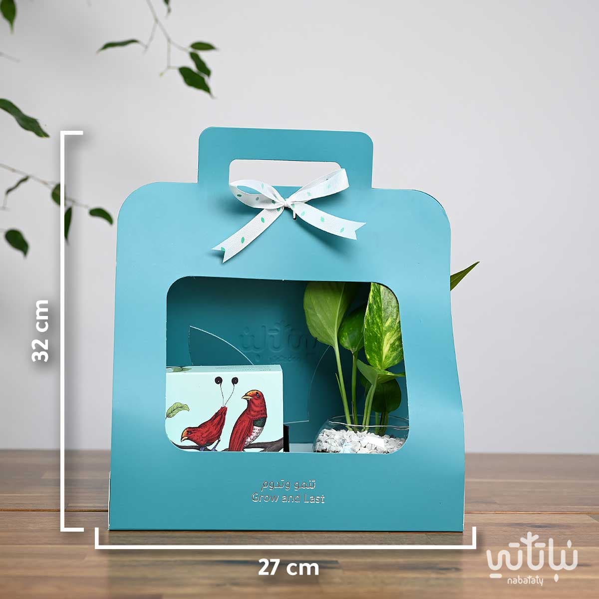 Pothos Plant Gift with Belgian Chocolate 2