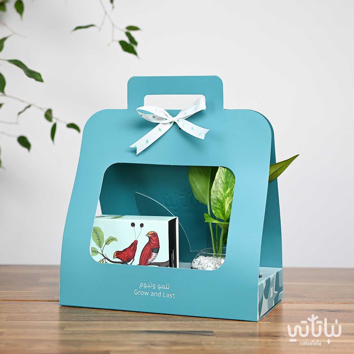 Pothos Plant Gift with Belgian Chocolate 1