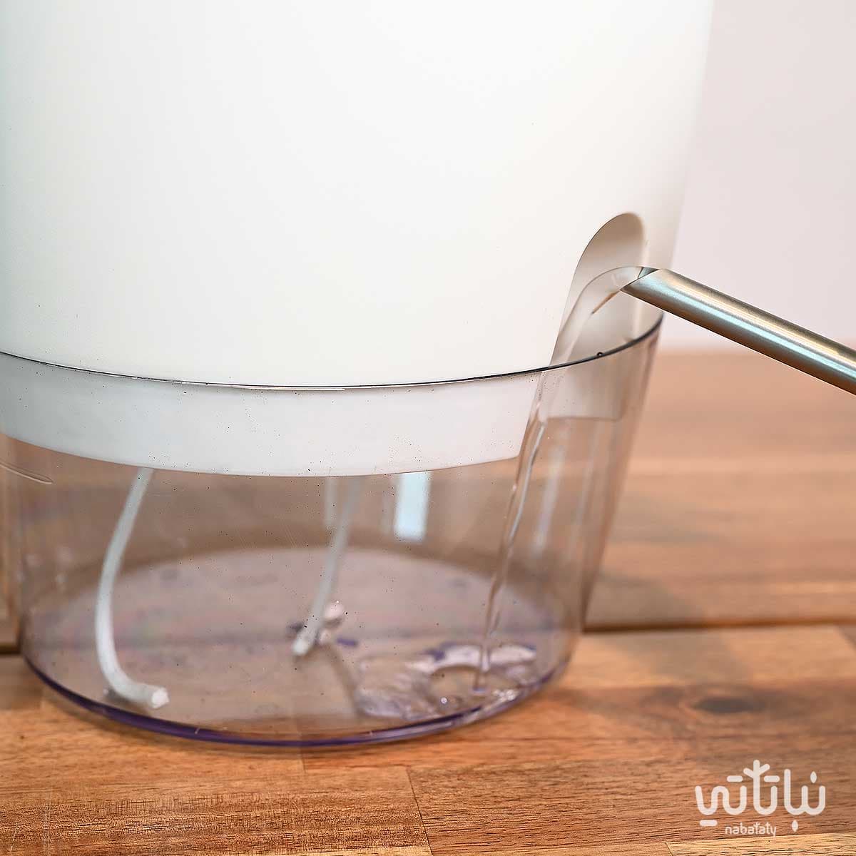 A large aglaonema plant in a clear self-watering white pot 4