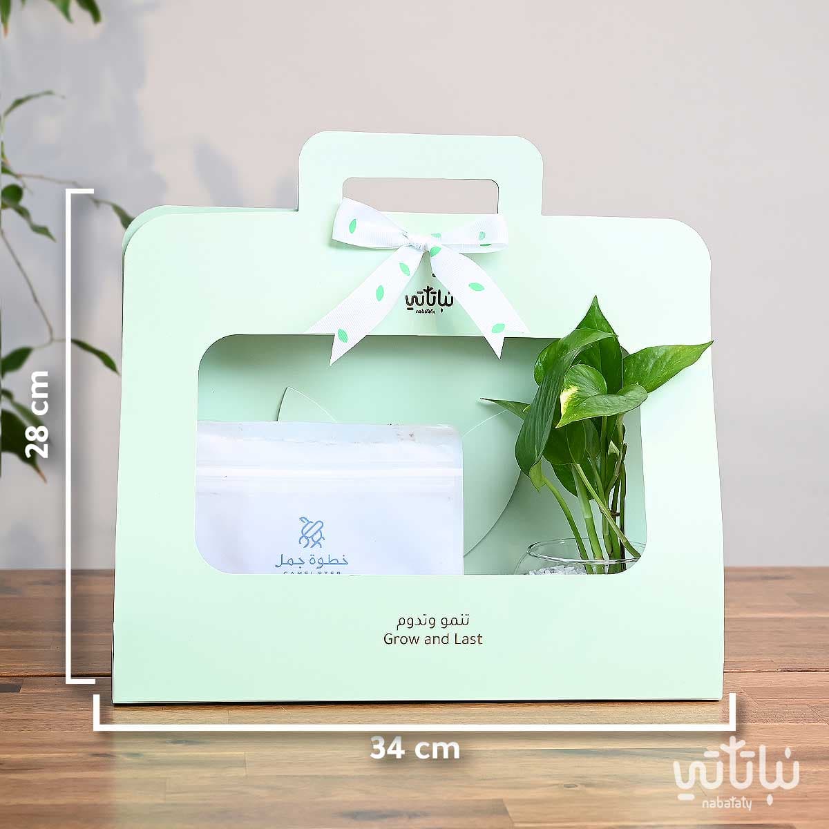 هدية نبتة البوتس اخضر فاتح مع قهوة كولومبيا لاس بالماس 2