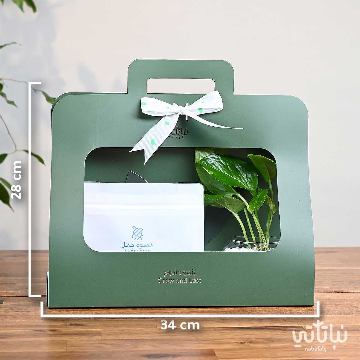 هدية نبتة البوتس اخضر مع قهوة كولومبيا لاس بالماس 2