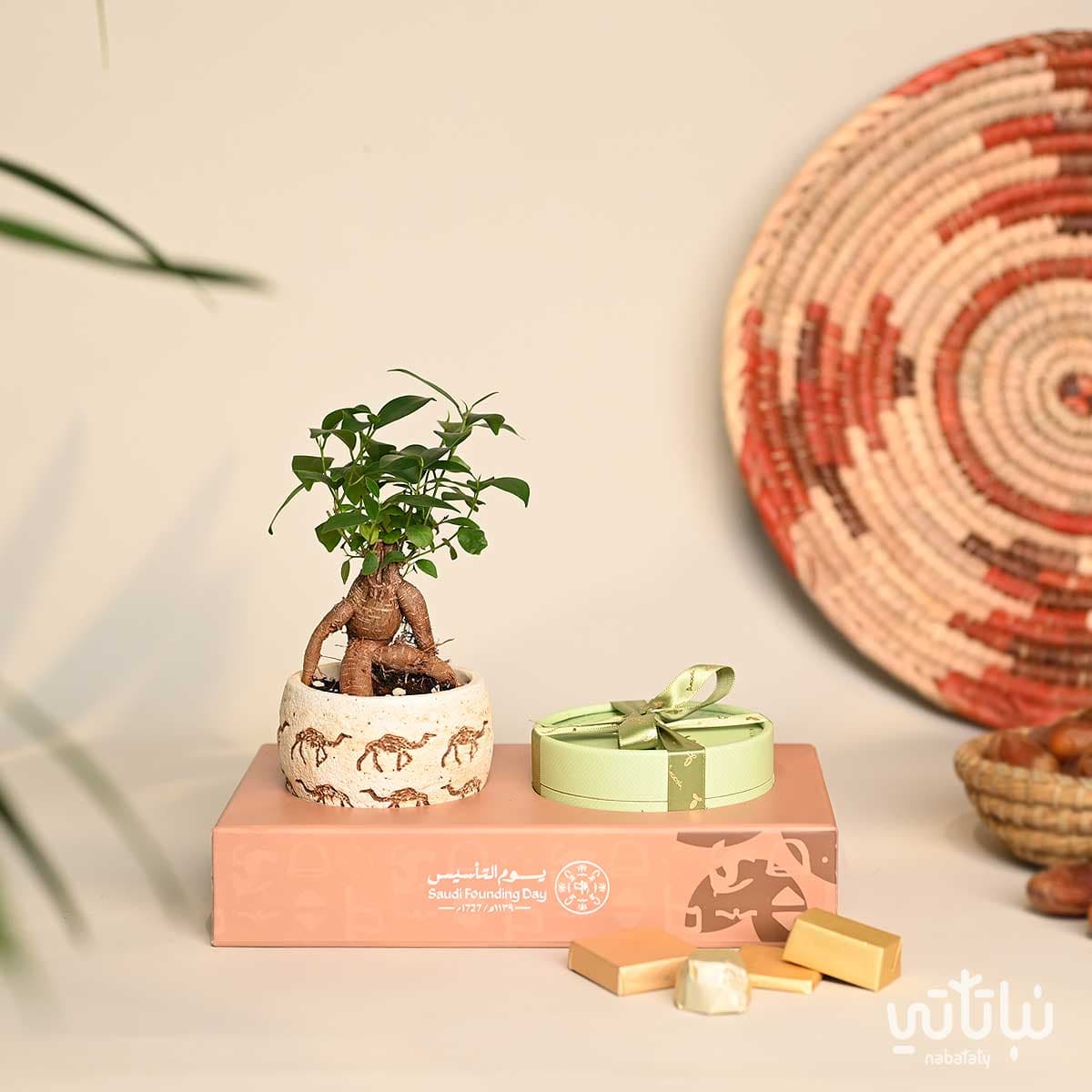 هدية نبتة البونساي مع شوكولاتة أنوش