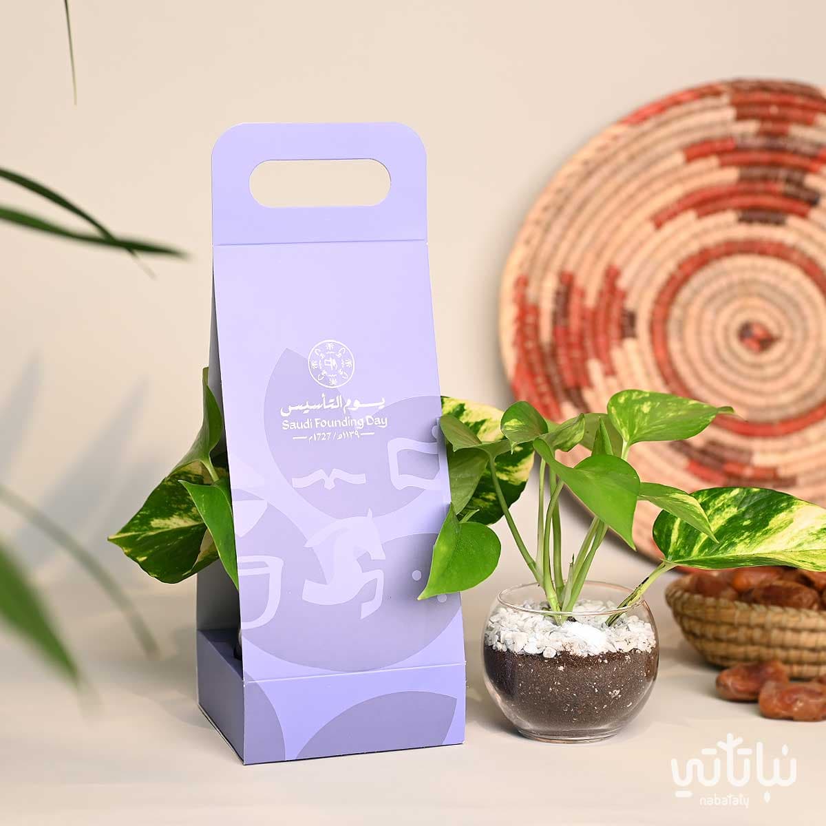 هولدر نبتة البوتس ثيم يوم التأسيس