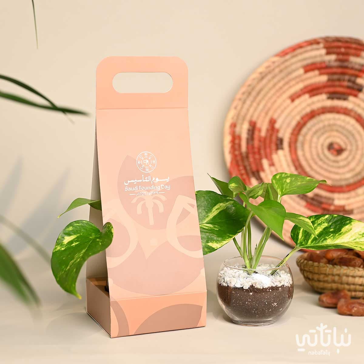 هولدر نبتة البوتس ثيم يوم التأسيس