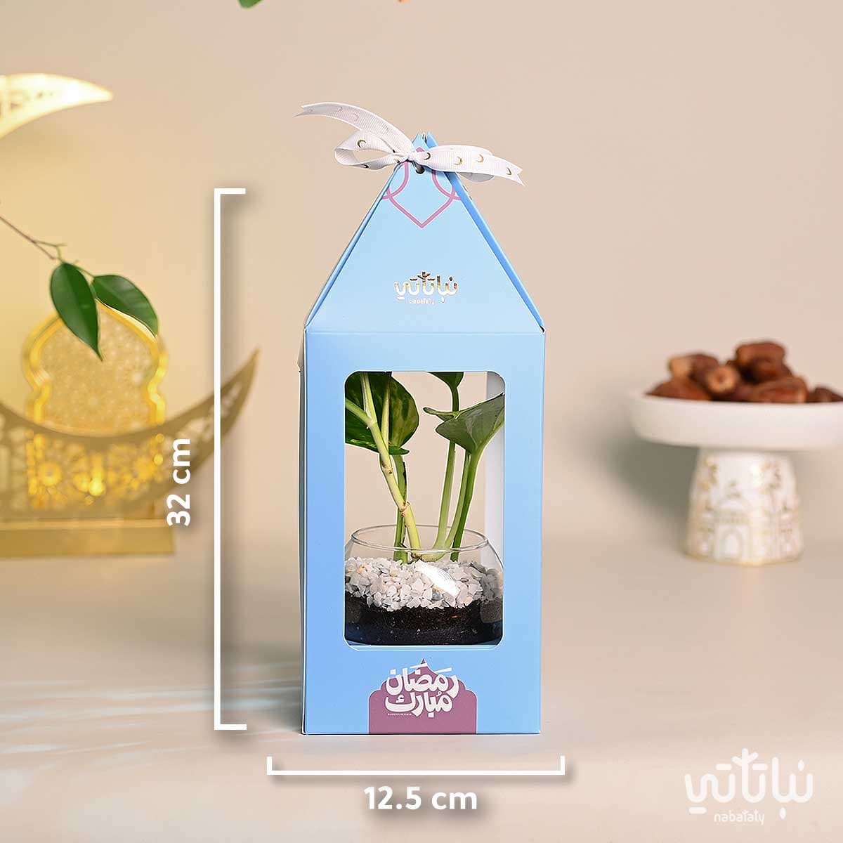 هدية فانوس رمضان نبتة البوتس ازرق 2