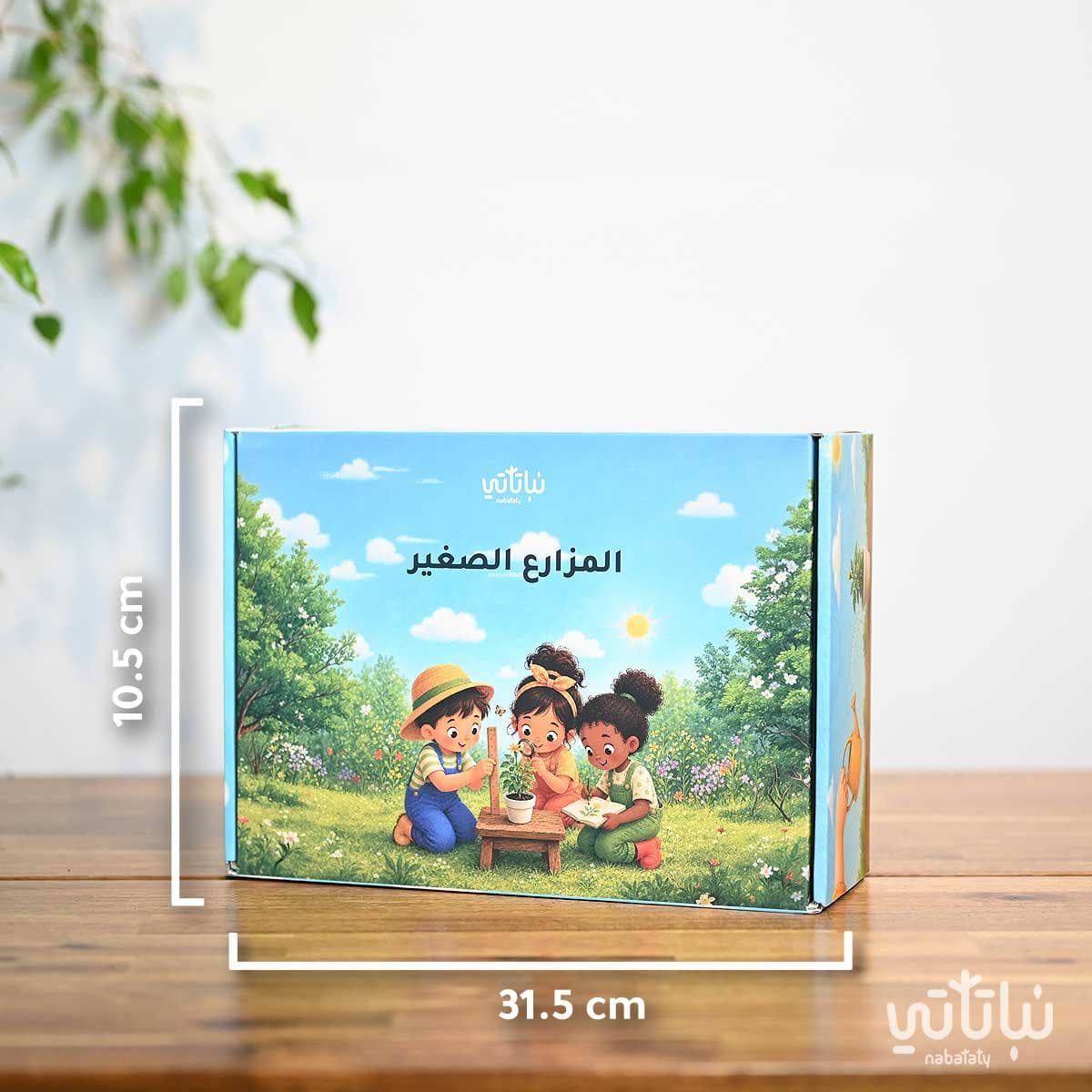 صندوق المزارع الصغير 2
