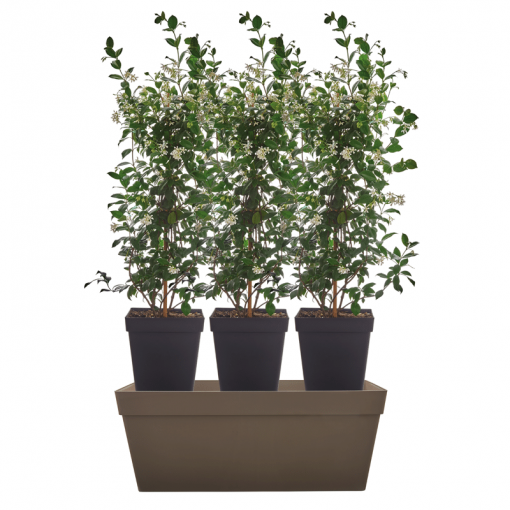 Rectangular off-white plastic pot - Image 2