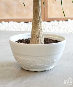 رجل الفيل في اصيص بلاستيك مزخرف