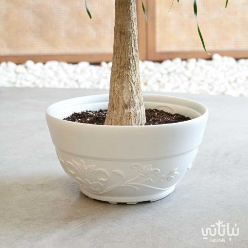 رجل الفيل في اصيص بلاستيك مزخرف