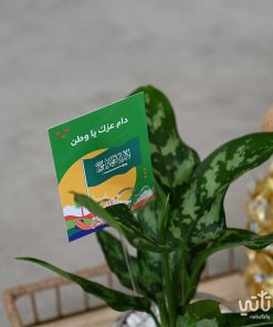 اجلونيما في صينية ذهبية كبيرة