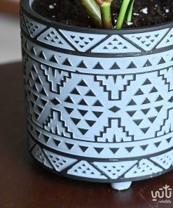 ببروميا خضراء في اصيص فخاري مزخرف